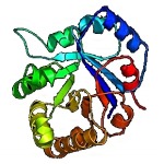 Enzyme1